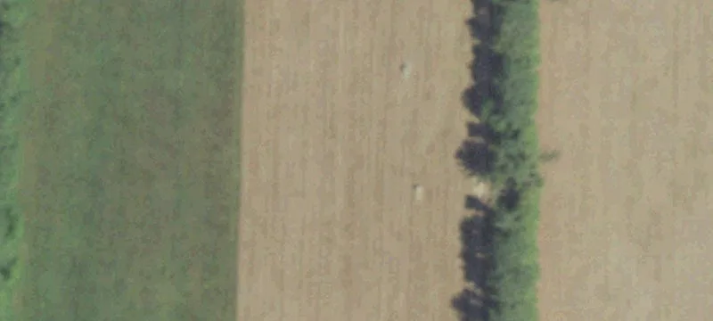 Wooded Buildable Home Lot