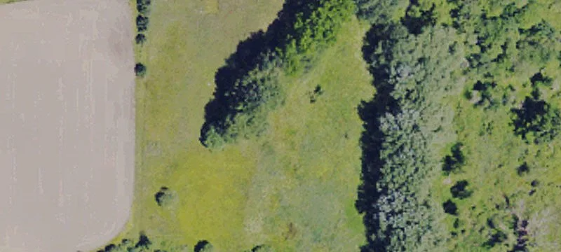 Wooded Home Lot with Utilities
