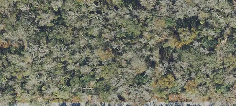 Cleared Waterfront-Adjacent Home Lot