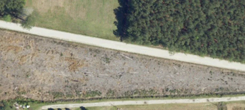 Acreage Homesite with Road Frontage