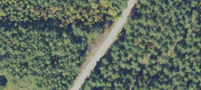 Wooded Recreational Land Parcel