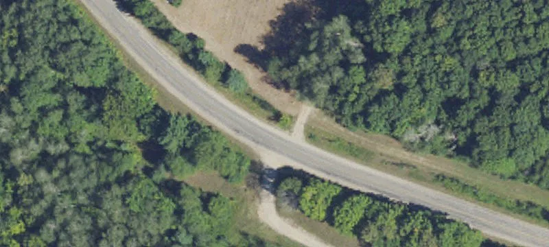 Level Wooded Land Parcel