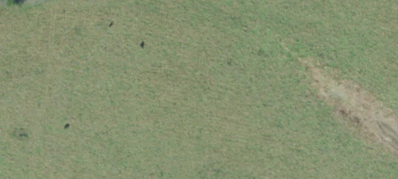 Unrestricted Farm Tract with Creek Access