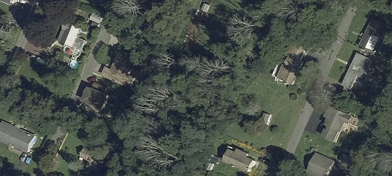 Wooded Vacant Land Lot
