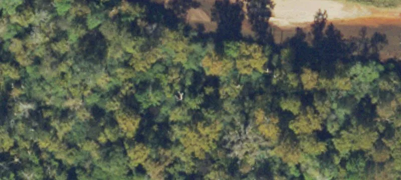 Riverfront Estate Land Parcel