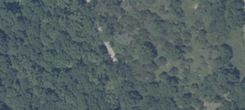 Pasture and Wooded Hunting Land
