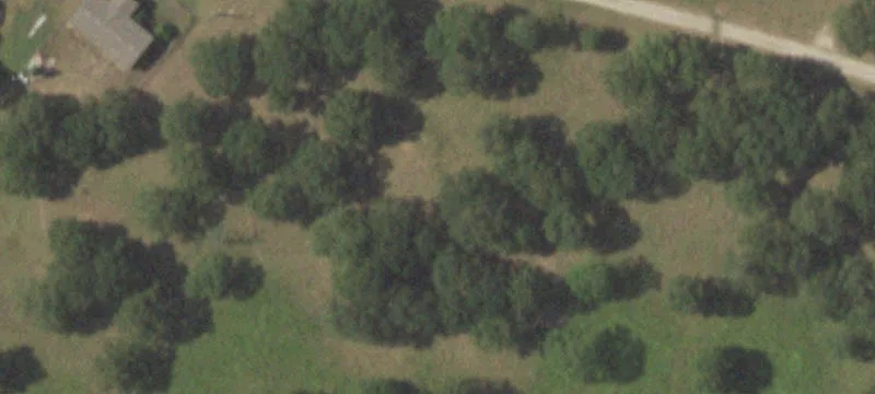 Timber-Covered Land with Pond