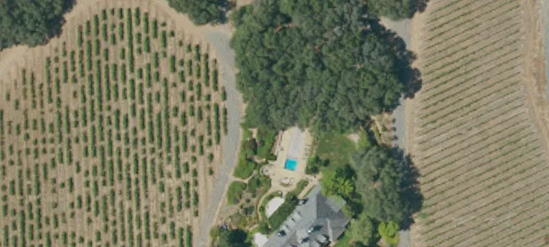 Vineyard Farm with Building Site