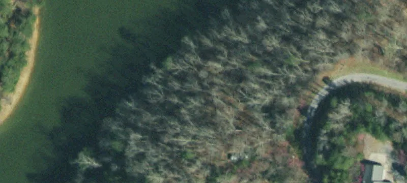 Douglas Lake Waterfront Land Parcel