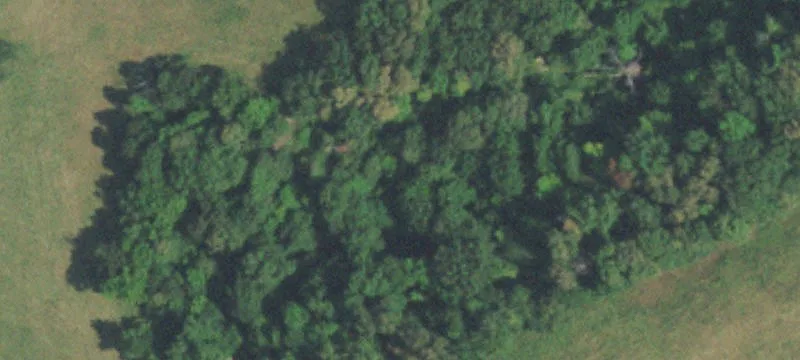Hunting Land with Cleared Acreage