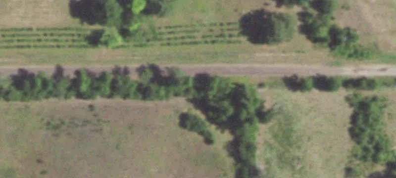 East Texas Ranch Land