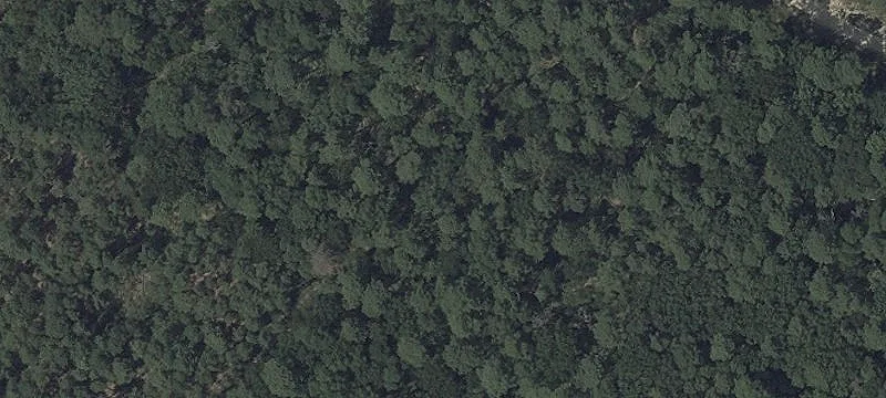 Commercial Land Acreage