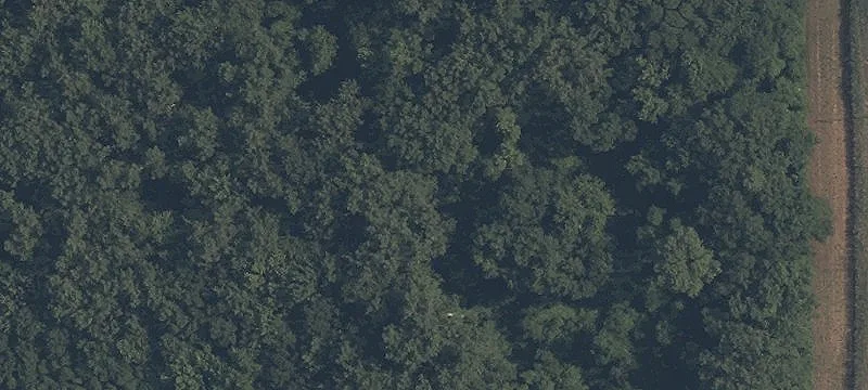 Acreage Development Land
