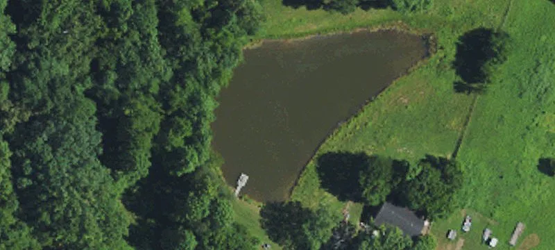 Wooded Commercial Land Tract