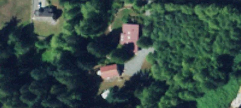 Waterfront Cedar Forest Home Site