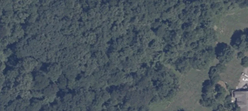 Wooded Cul-de-Sac Home Lot