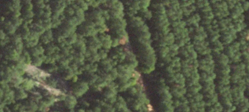 Horse Ranch with Log Home