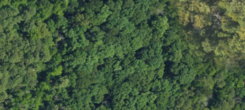 Wooded Homesite in Neighborhood Development