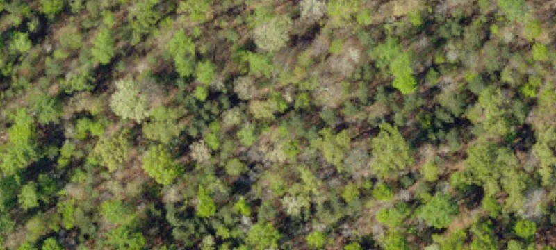 Residential Land Acreage Opportunity