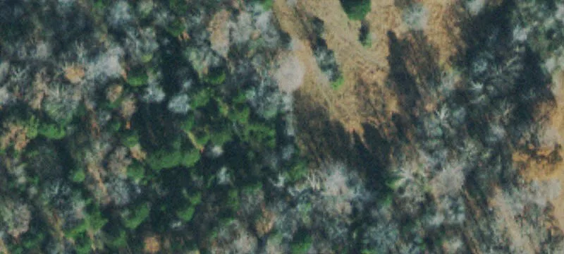 Residential Development Land Tract