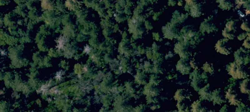 Zoned Agricultural Vineyard Land