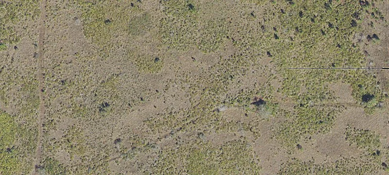 Fenced Agricultural Land Parcel