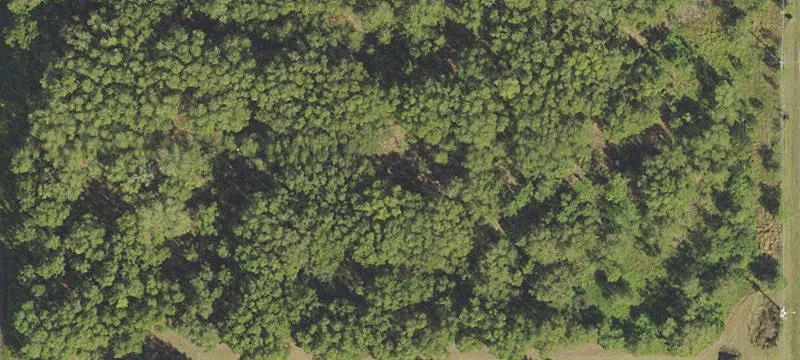 Industrial Land Parcel