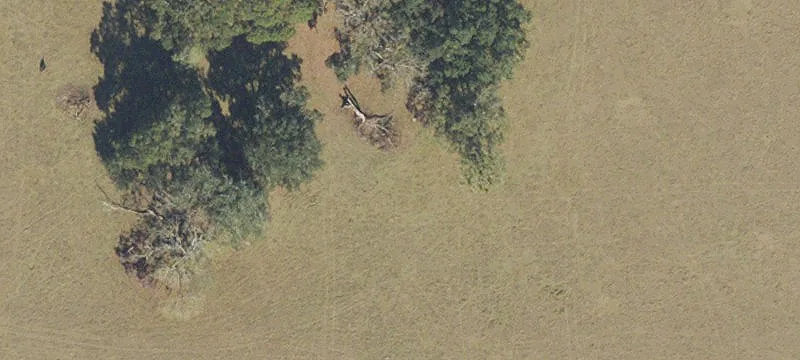 City-Limits Residential Acreage