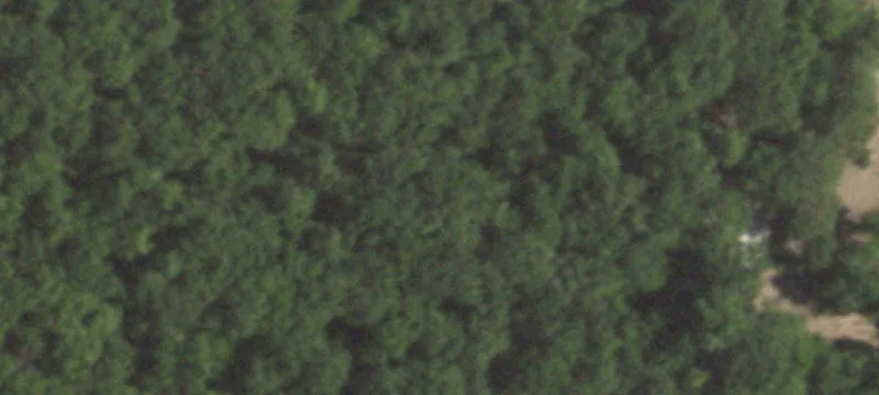 Hunting Land with Shop and Cabin