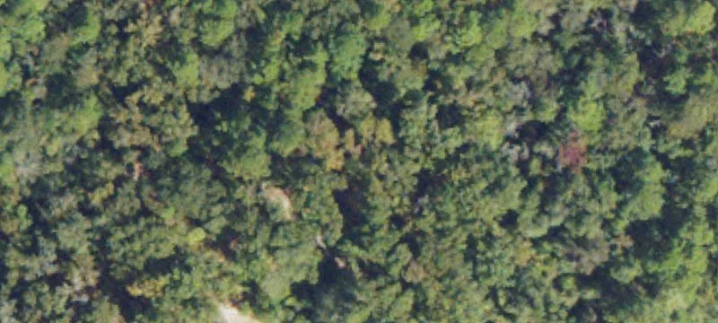 Rural Homestead Acreage with Home