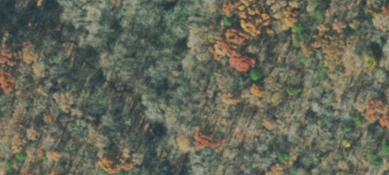 Farm Land Parcel with Two Barns