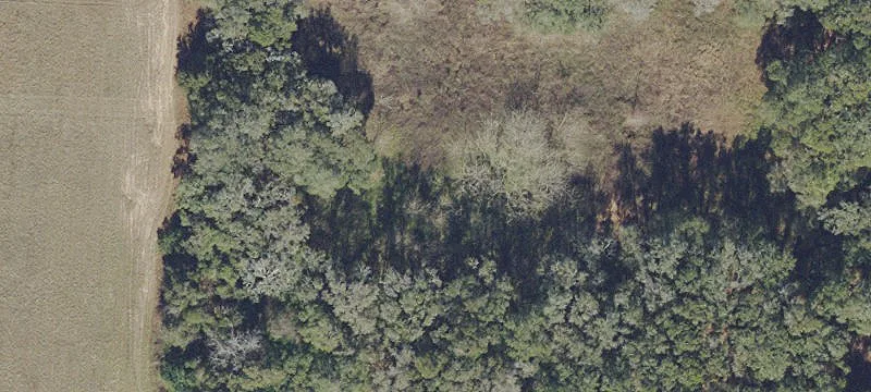 Vacant Agricultural Land Parcel