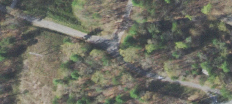Wooded Lake Access Lot