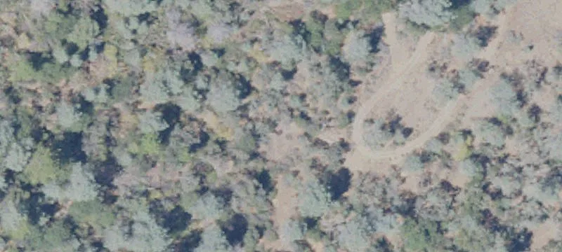 Private Rolling Land Parcel