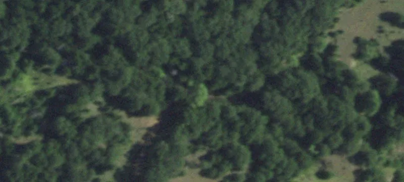 Wooded Residential Acreage with Creek