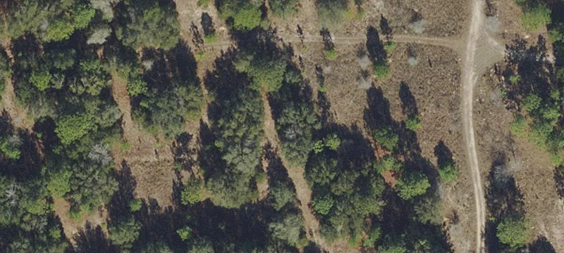 Residential Lot in Inverness Acres