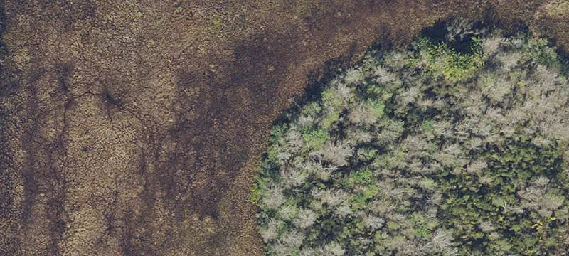 Acreage for Livestock and Residence
