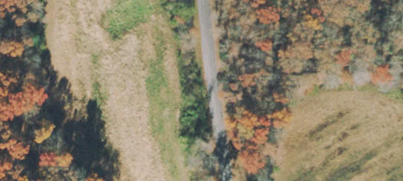 Wooded Farmland Tract with Road Frontage