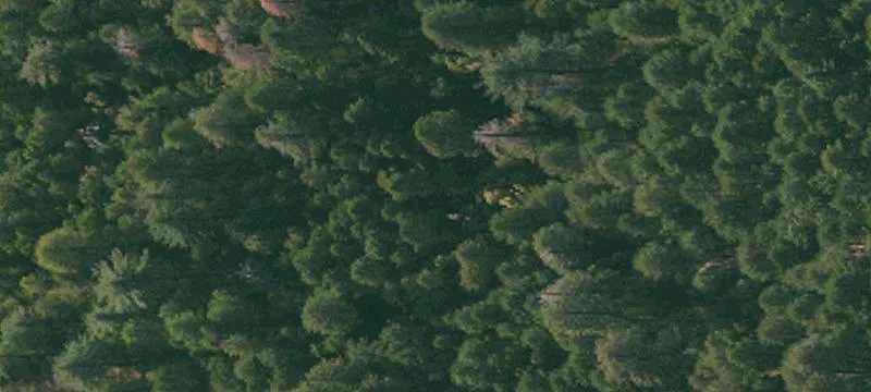 Rural Equestrian Ranch Land