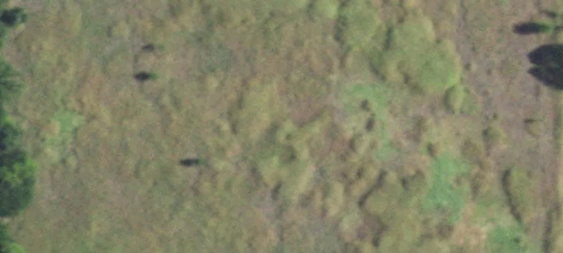 Four-Parcel Hunting and Recreation Land