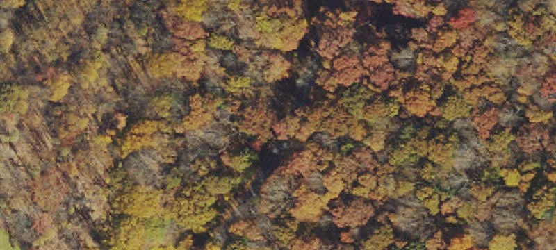 Resort Community Land Lot
