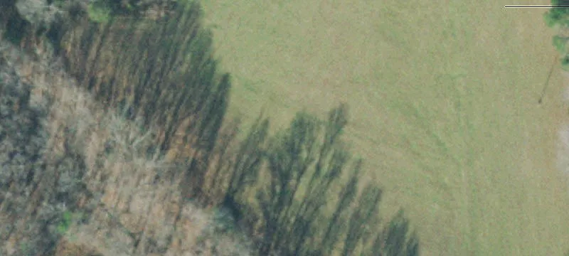 Wayne County Farm and Hunting Land