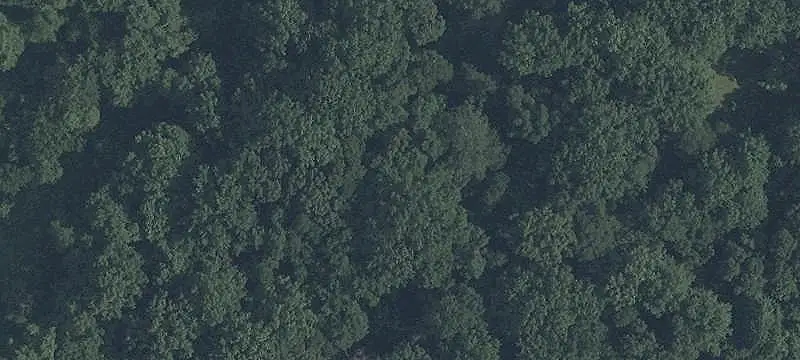 Forested Residential Land Lot
