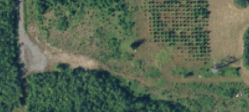 Residential Land Homesite