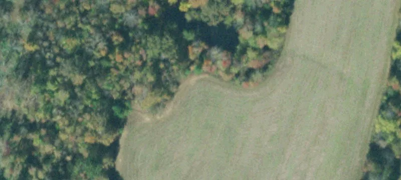 Hunting Land with Custom Home