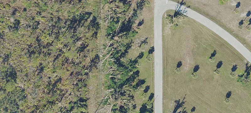 Partially Cleared Residential Building Lot