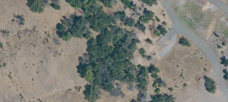 Estate View Home Lot