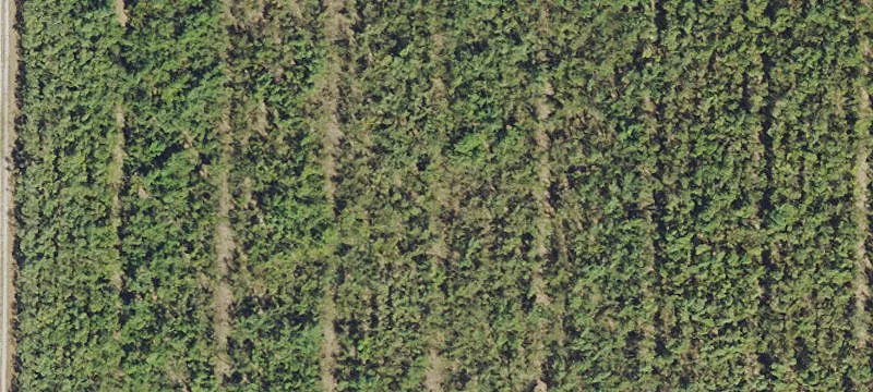 Vacant Farmland Subdivision Parcels
