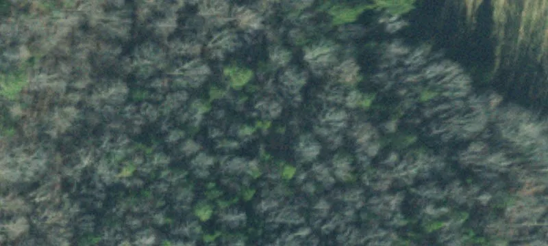 Raw Hunting Land Parcel