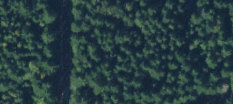 Developed Mountain Cabin Lot